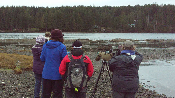 Several people stand with a spotting scope, looking at seabirds on the ocean and on land at the edge. There is an island in the background.