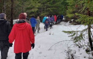 A large group of people walk along a snowy trail through trees.