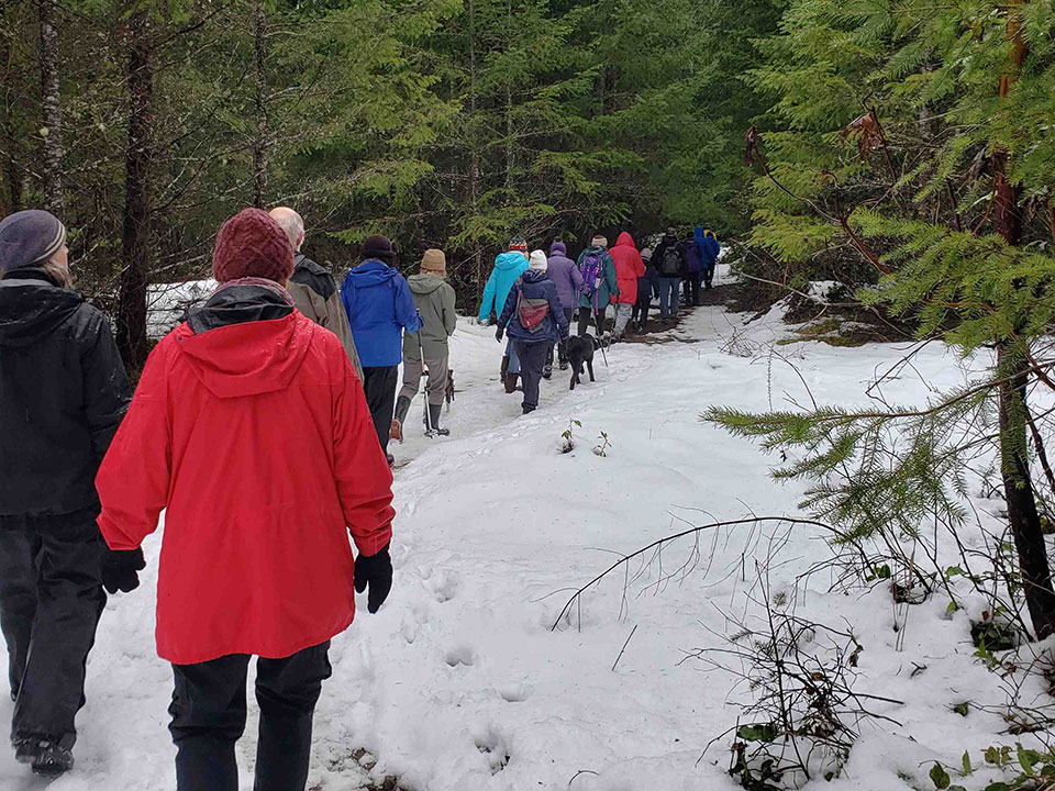 A large group of people walk along a snowy trail through trees.
