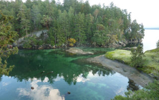 A protected bay with a very narrow channel between two islands. The water is blue and emerald green and the rocky shores are covered with new green growth.