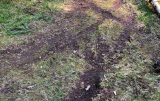 A photo showing the bare patches left by tire tracks on a trail.