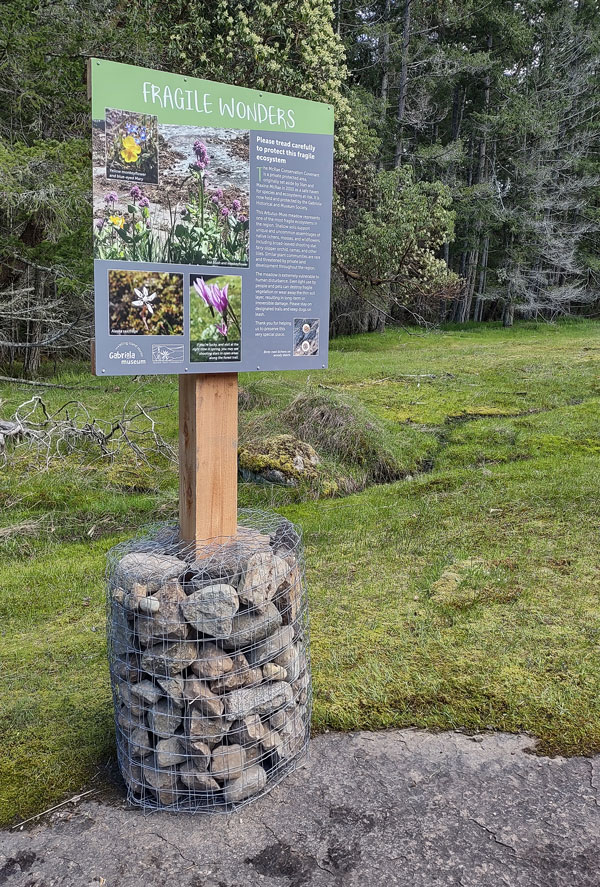 The photo shows a sign explaining the species found in a mossy meadow. The base of the signpost is held in a "gabion"—a big pile of rocks enclosed in wire netting.