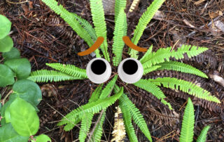 A photo of a deer fern with googly eyes and a sad expression.