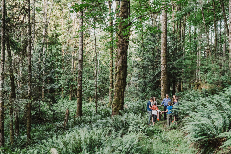 The photo shows a group of people in a circle holding hands in the middle of a beautiful forest.