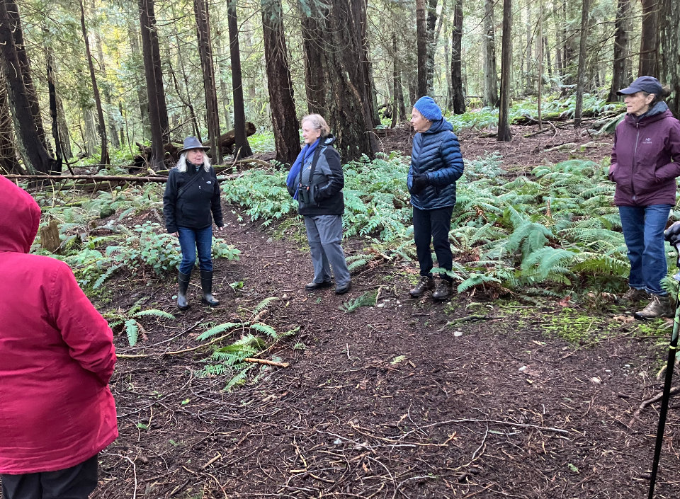 A photo of a group of people standing on a trail in a forest listening to a woman speak.