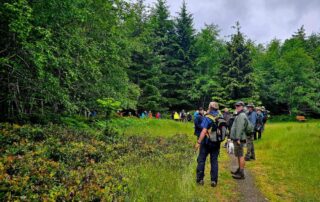 A large group of people on a trail through an open meadow.