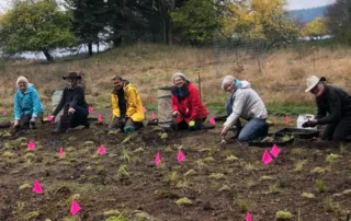 Happy GaLTT volunteers planting for GaLTT's meadow restoration work at Drumbeg Provincial Park.