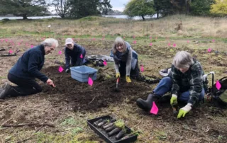 A group of people plant seedling plugs at Drumbeg Provincial Park on Gabriola Island.